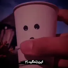 ستاره بخت ما چراغ هواپیما بود