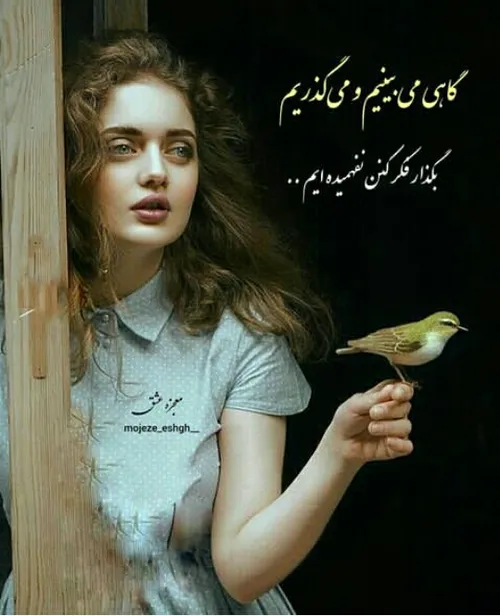  zahra.a.s 44970214 - عکس ویسگون