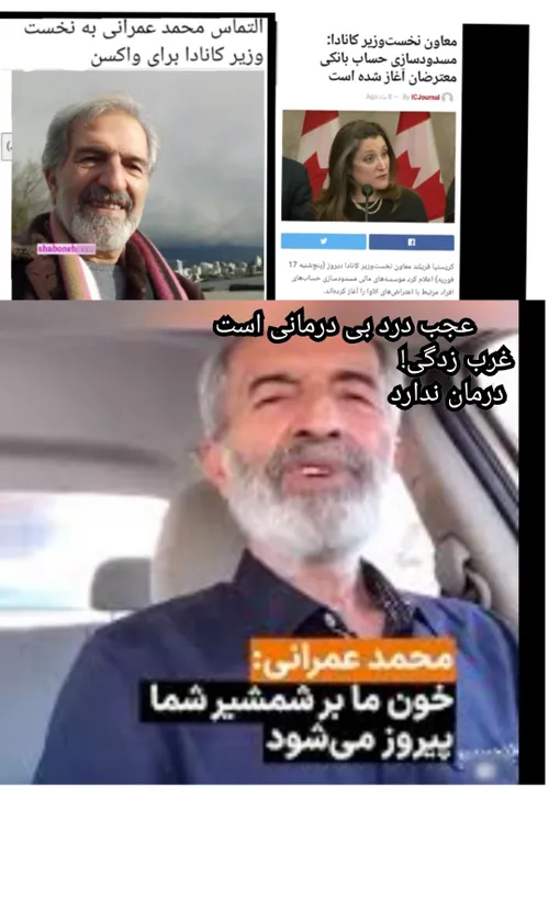 محمد عمرانی😶