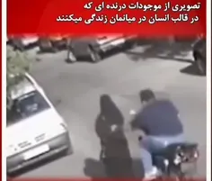 خانماخیلی مراقب باشیدازاین دست حیونهاتو شهرهازیادشده