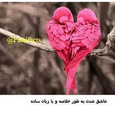 #عشق#Rfarsifacts 