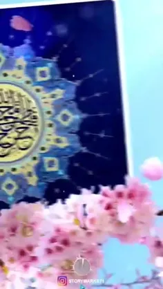 شبتون+محمدی🌸+🤩🌸