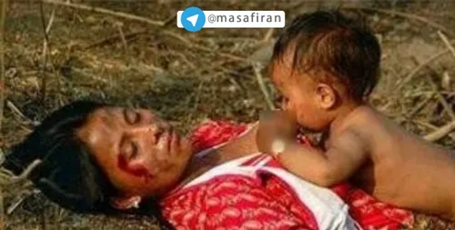 تصویر دردناک کودک مسلمان میانمار که سینه مادر کشته شده اش