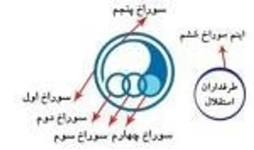 بشمار