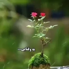 تا وقتی که قلبتان می زند،