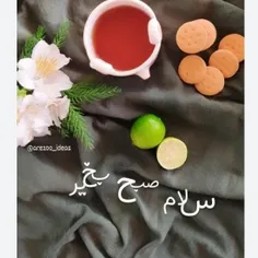 صبحتون بخیر سلامتی.....