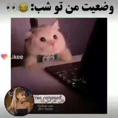 😂🙂👌🏻حقققققق.... این گربه اس چیه... خیلی کیوته