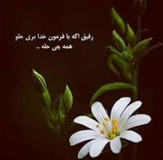 رفیق فابریک..