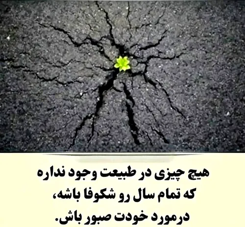 صبوری میکنم