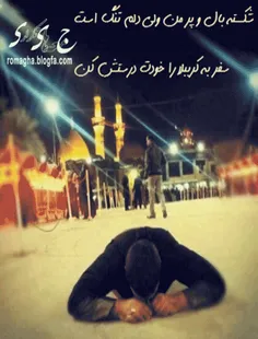 انا الکلب الحسین