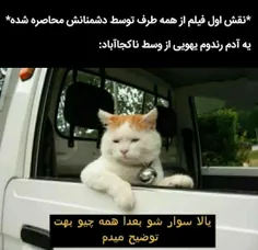 عین حقیقته😂😂😂👍