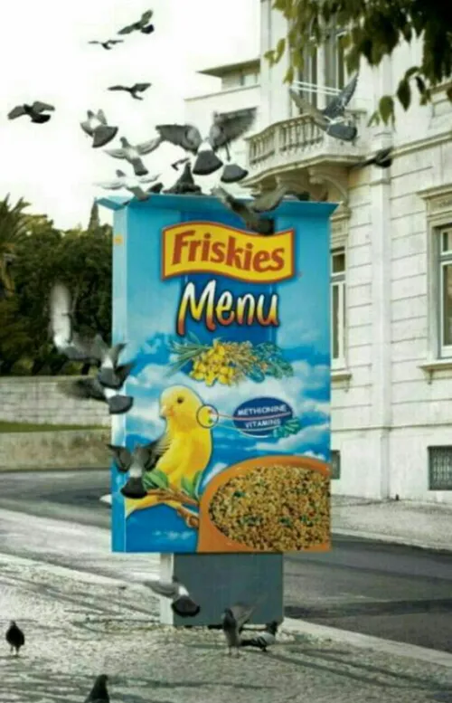 تبلیغ خلاقانه غذای پرندگان به گونه ای طراحی شده است که با