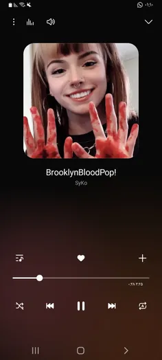 -BrooklynBloodPop!