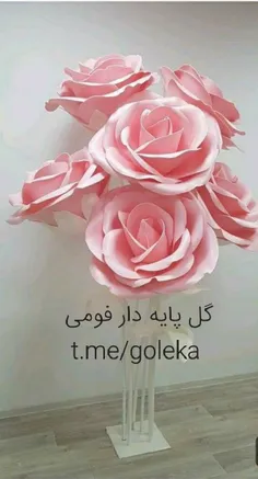 t.me/goleka 