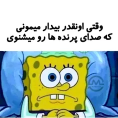 همین الان دارم صدای پرنده میشنوم😂