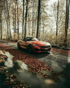 BMW-Z4