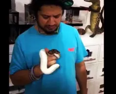 مار پیتون یکی از خطرناک ترین مارهای جهان در دستان علی صاد