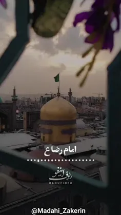 آقا جان فقط یه کربلا 🥺