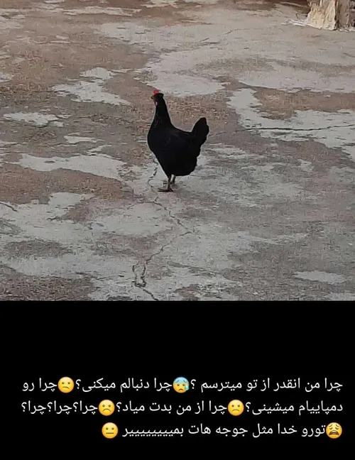 قصه بدبختی این روز های من😐