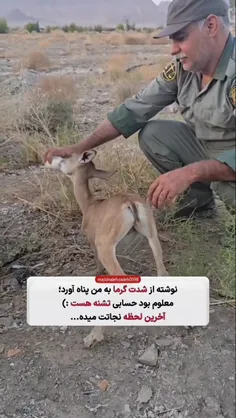 اولین قدم انسانیت، بی تفاوت نبودن است.. ❤🌱