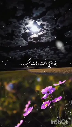 برای رسیدن به بلندای بندگی و بخشندگی باید از وجود خویش بگذری ۰