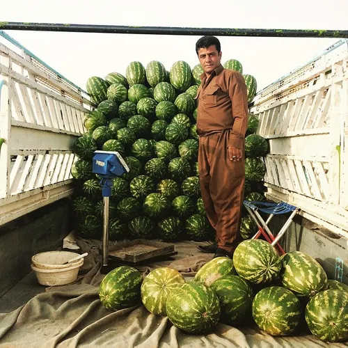 Friendly roadside watermelon salesman in Erbil. iPhone ph