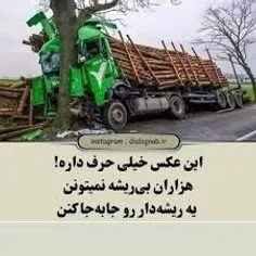 زندگی‌ امتحان ریشه هاست :)!