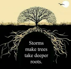 ➕ طوفان باعث میشه درخت ریشه هاش رو عمیق تر و قوی تر کنه. 