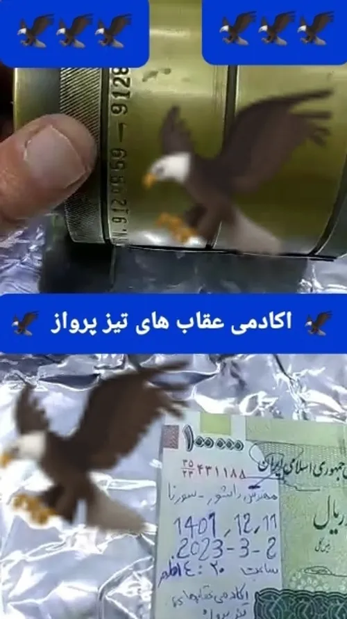 🦅 اکادمی عقاب های تیز پرواز 🦅