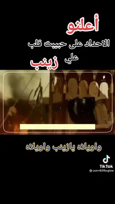 نه تنها زینب از دین یاوری کرد