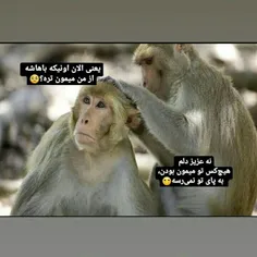 خاطرات خیلیاتون زنده شد 😂