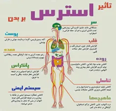 سلامت و تندرستی arashmardomi 14111450