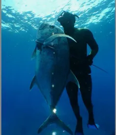 شکار ماهی های بزرگ زیر آب لذت بخشه پر خطر هم هست 