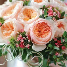گرانترین گل جهان گل "رز ژولیت" نام دارد که برای به عمل آم