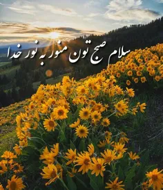 🌸 بسم الله الرحمن الرحیم 🌸 