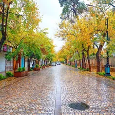 خیابان زیبای طالقانی _شیراز