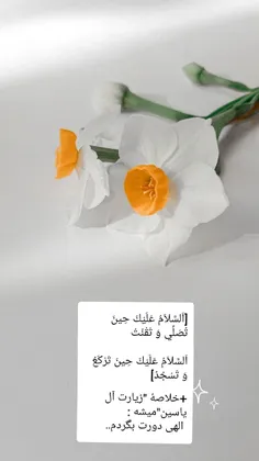 او در دل است و هیچ دلی نیست بی ملال!

