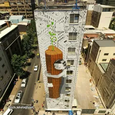 #نقاشی دیواری بسیار زیبا بر روی ساختمانی در سانتیاگو