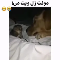 واییییی🤣🤣🤣🤣🤣🪳