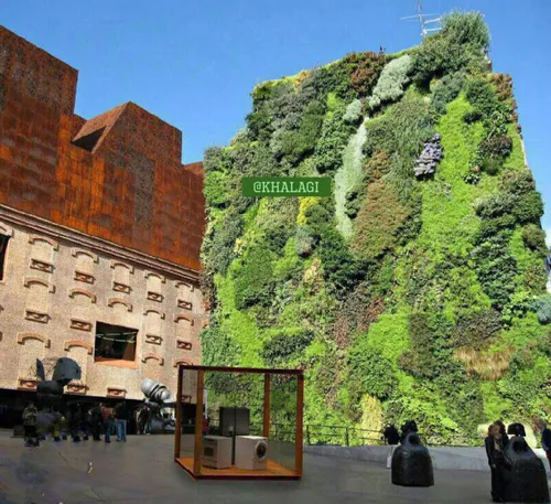 🌿 باغچه عمودی در شهر مادرید اسپانیا