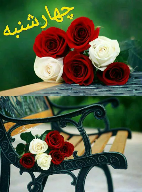 شعار میدهند: