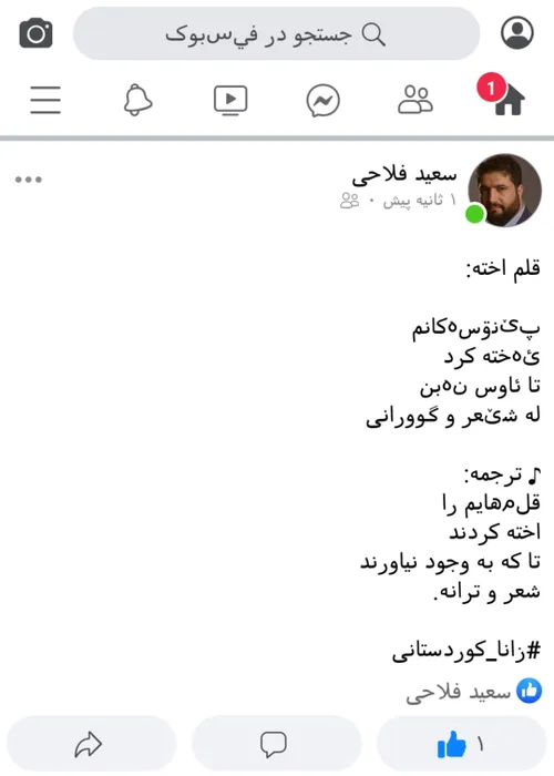 سعید فلاحی زانا کوردستانی لیلا طیبی لیلا جیگر جیگرگوشه پا