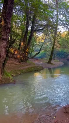 سلام صبح شما به زیبایی این طبیعت 