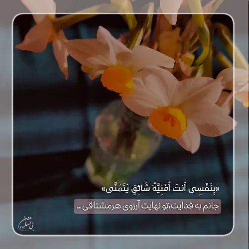 امام زمــــانم ..💚