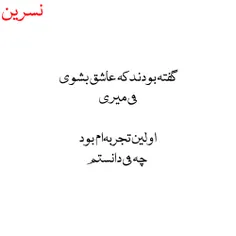 نسرین نانکلی 27