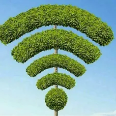 اگر درختان سیگنال وای فای تولید می کردند ، ما به جای قطع 