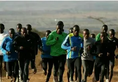 از سال 1980، چهل درصد برندگان مسابقات دوی استقامت کنیایی 