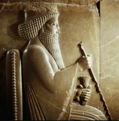 داریوش دستور داد دانشمندان مصری قوانین قدیم مصر را تا زما