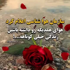 . سلام و ادب . کلیپ ( نماهنگی از گزارشی برگرفته از مستندا