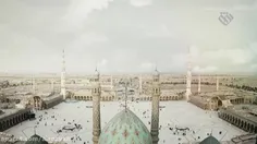 السلام علیک یا مولای یا صاحب الزمان عجل الی ظهورک 